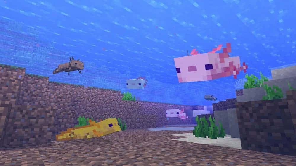 Como um jogo de construção virtual ajudou a chamar atenção para uma espécie ameaçada de extinção?